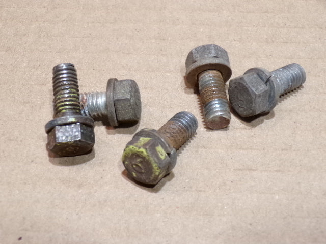 Datsun 240Z Door to Frame Hinge Bolt Set