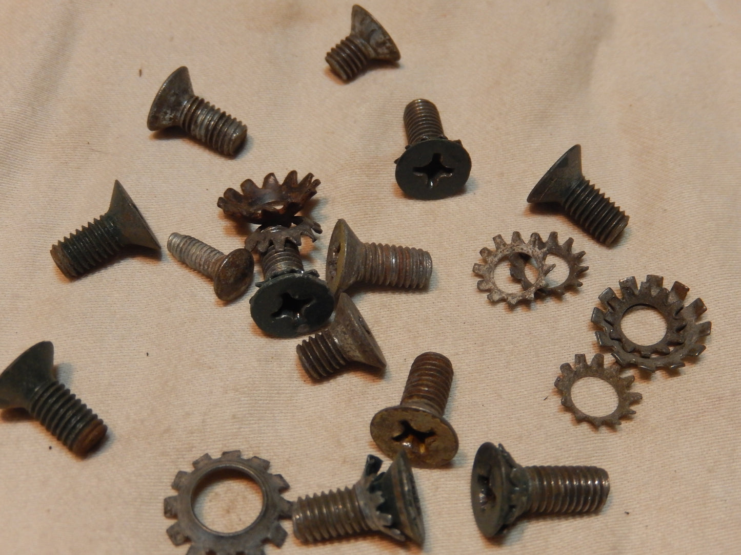 Datsun 240Z Flush Mount Screw Group