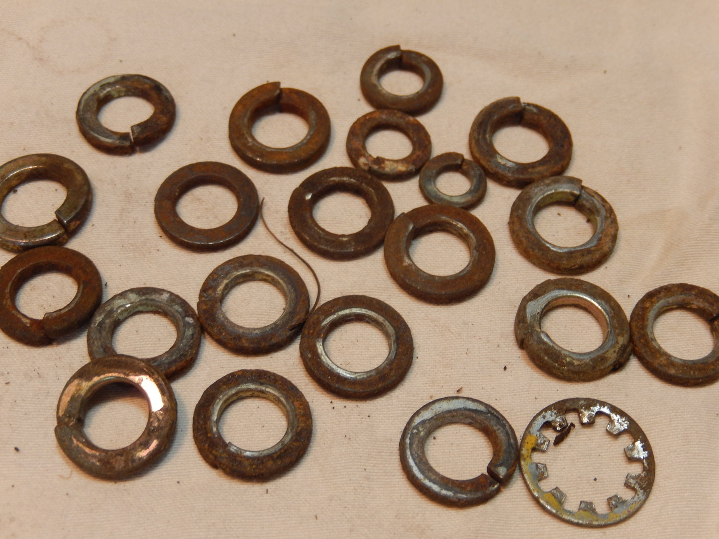 Datsun 240Z Machined Lock Washers