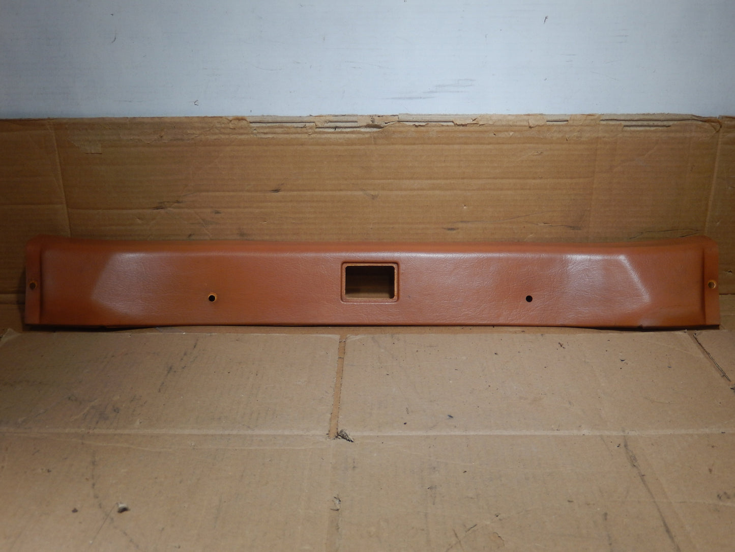 Datsun 240Z Center Overhead Courtesy Panel