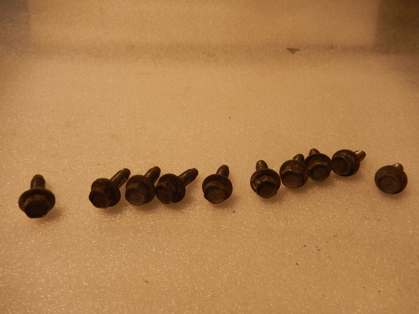 Datsun 280ZX Set of 10 Door Hinge Bolts