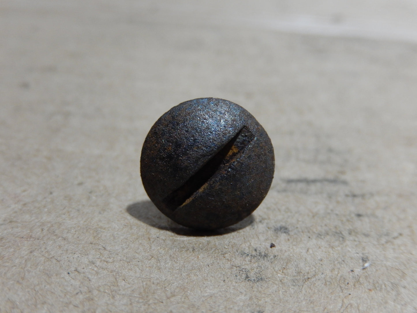 Datsun 240Z 280Z License Plate Screw