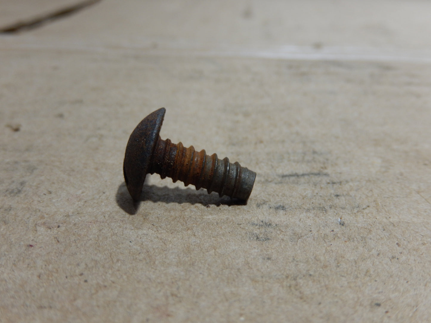 Datsun 240Z 280Z License Plate Screw