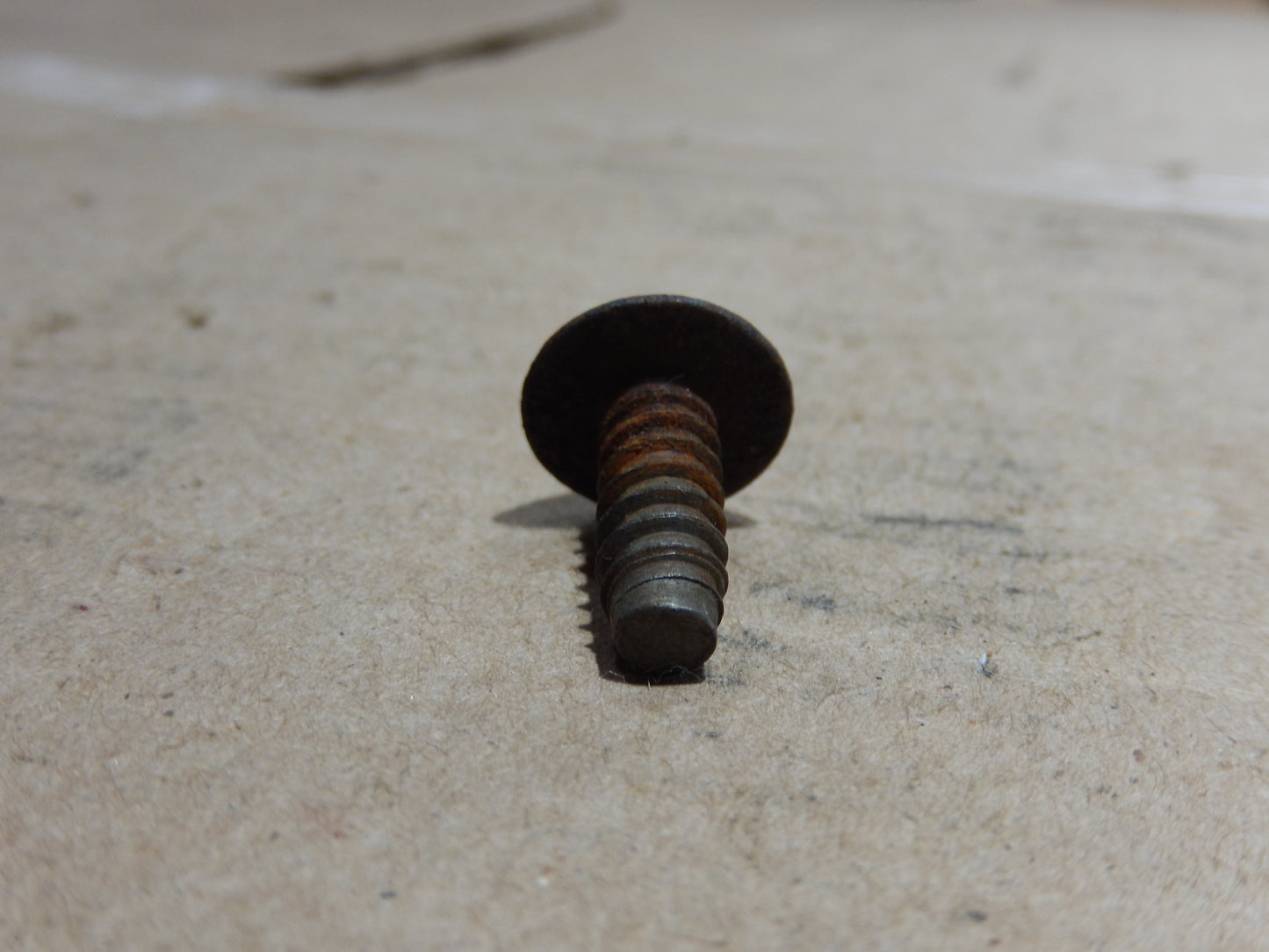 Datsun 240Z 280Z License Plate Screw