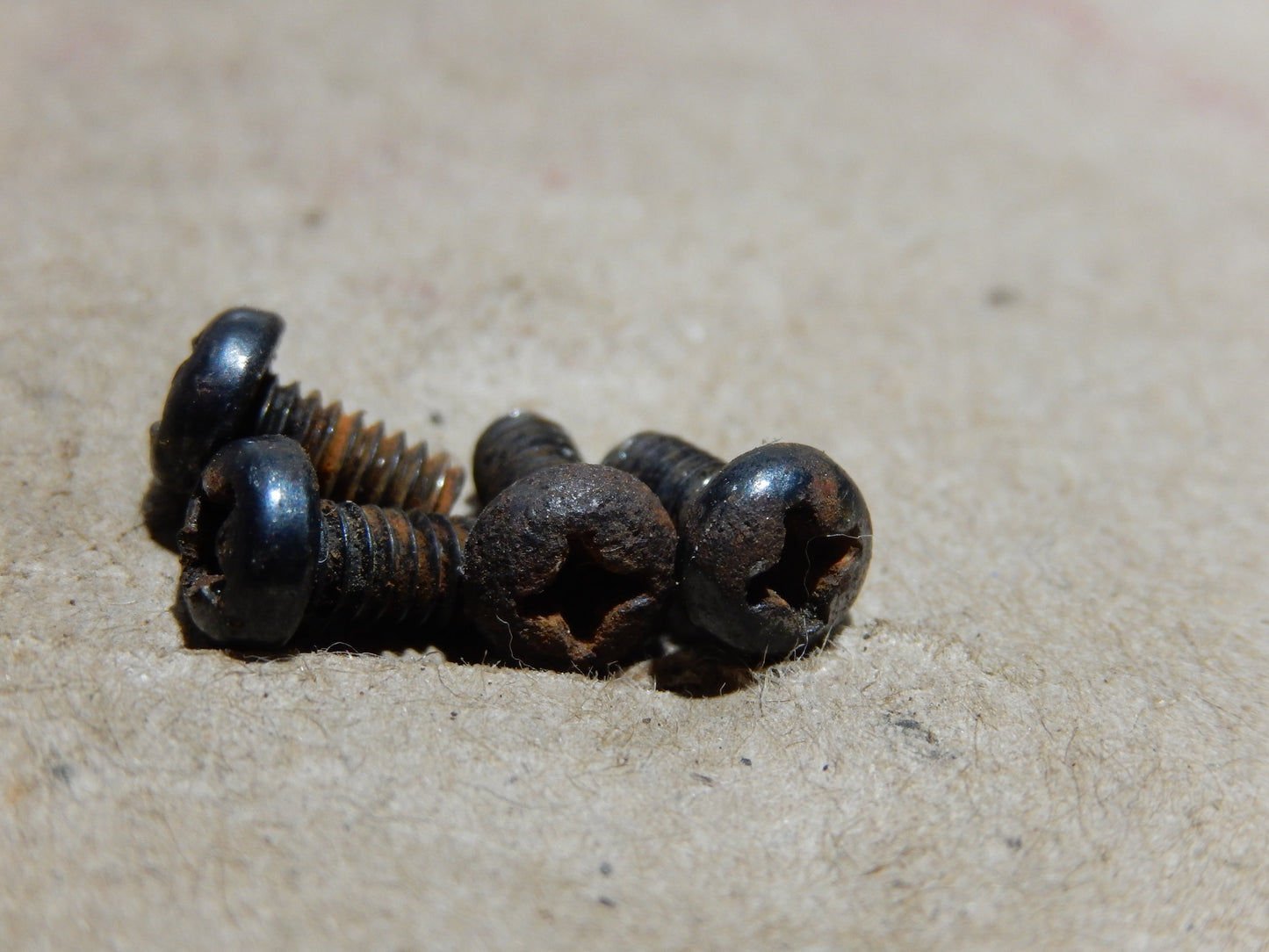 Datsun 240Z Seat Hinge Cover Fastener Set