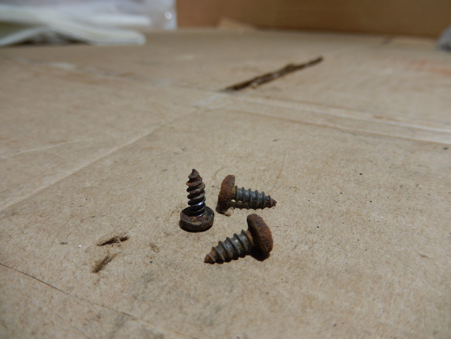 Datsun 240Z Trim Screws