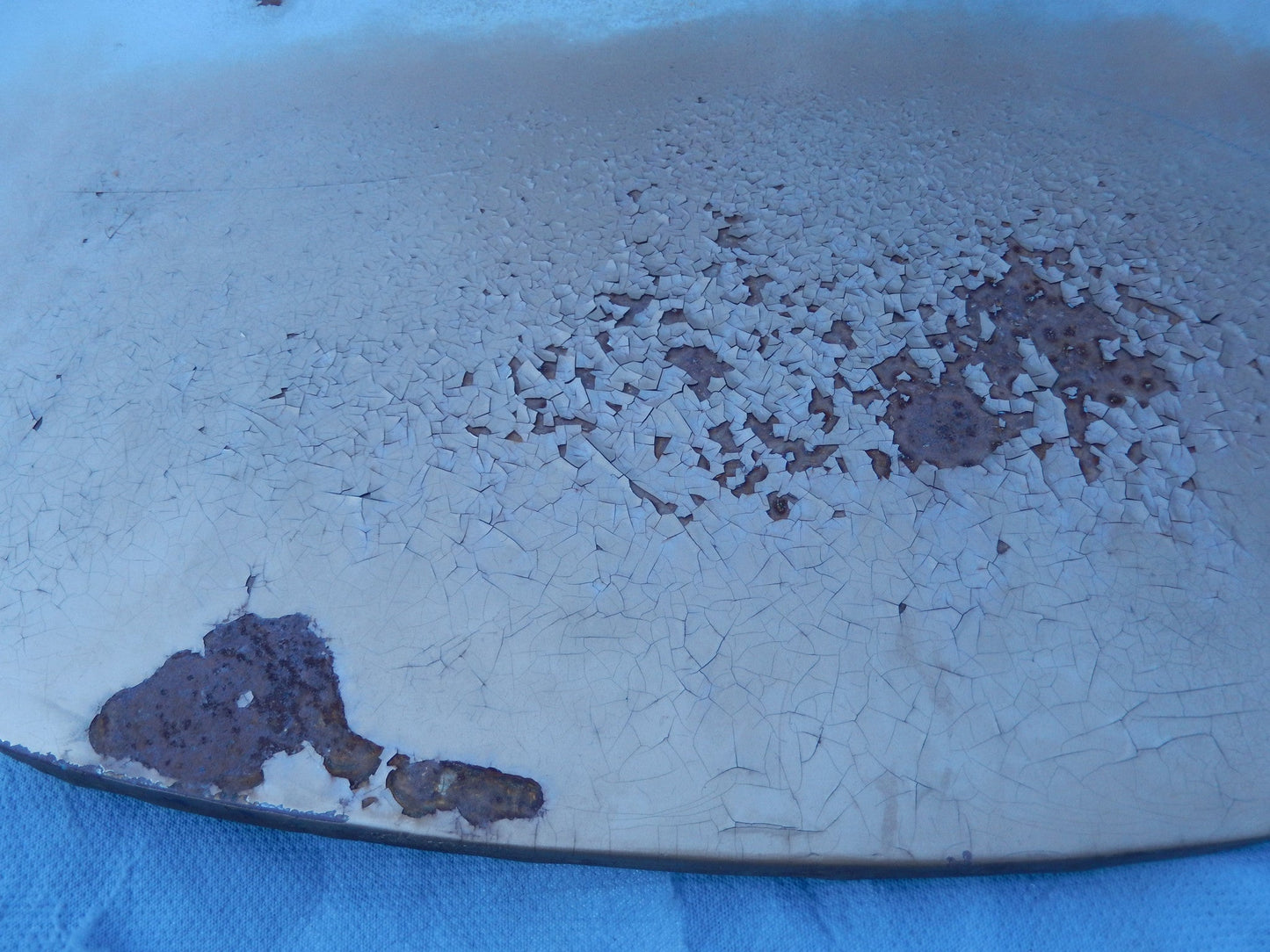Volvo P1800ES Hood