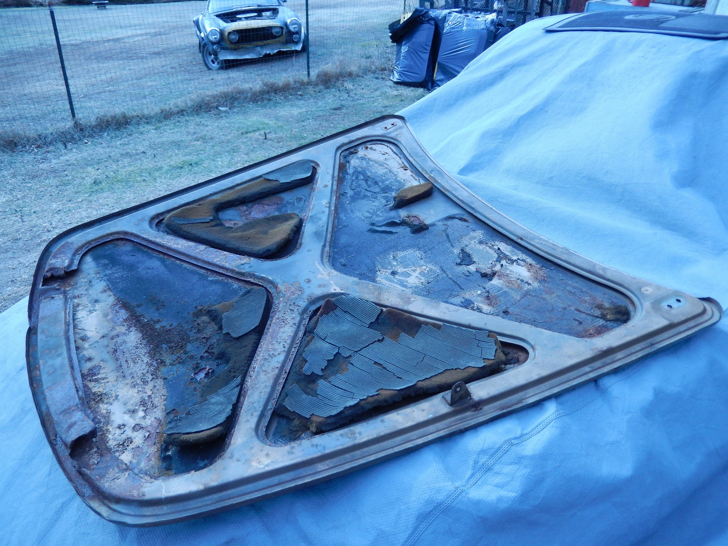 Volvo P1800ES Hood