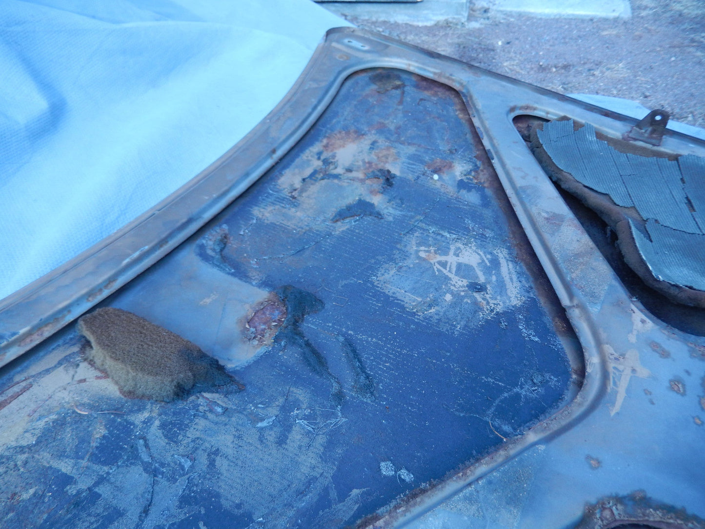 Volvo P1800ES Hood
