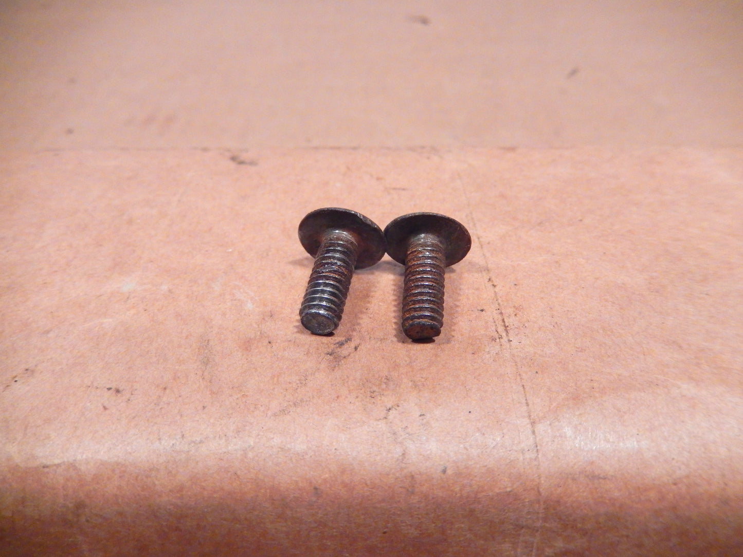 Datsun 240Z 280Z License Plate Screws