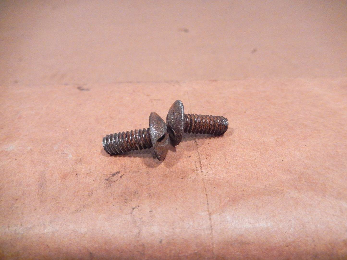 Datsun 240Z 280Z License Plate Screws