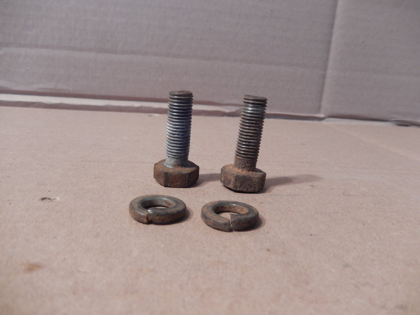 Datsun 280ZX Rear Caliper Bolts + Washers