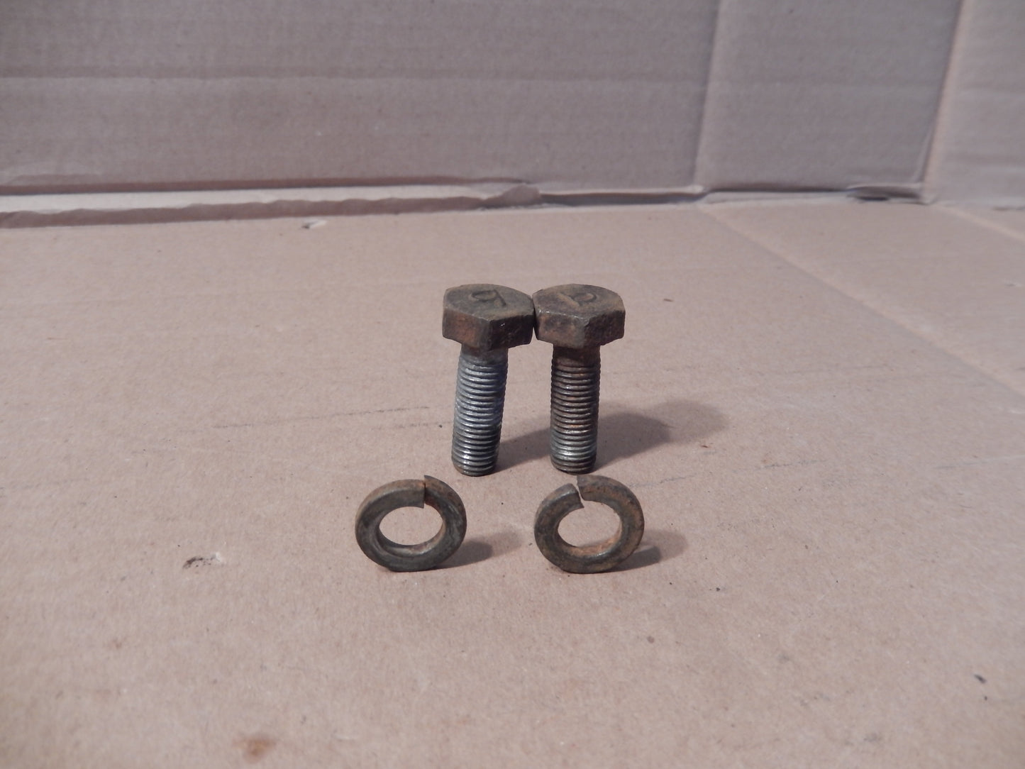 Datsun 280ZX Rear Caliper Bolts + Washers