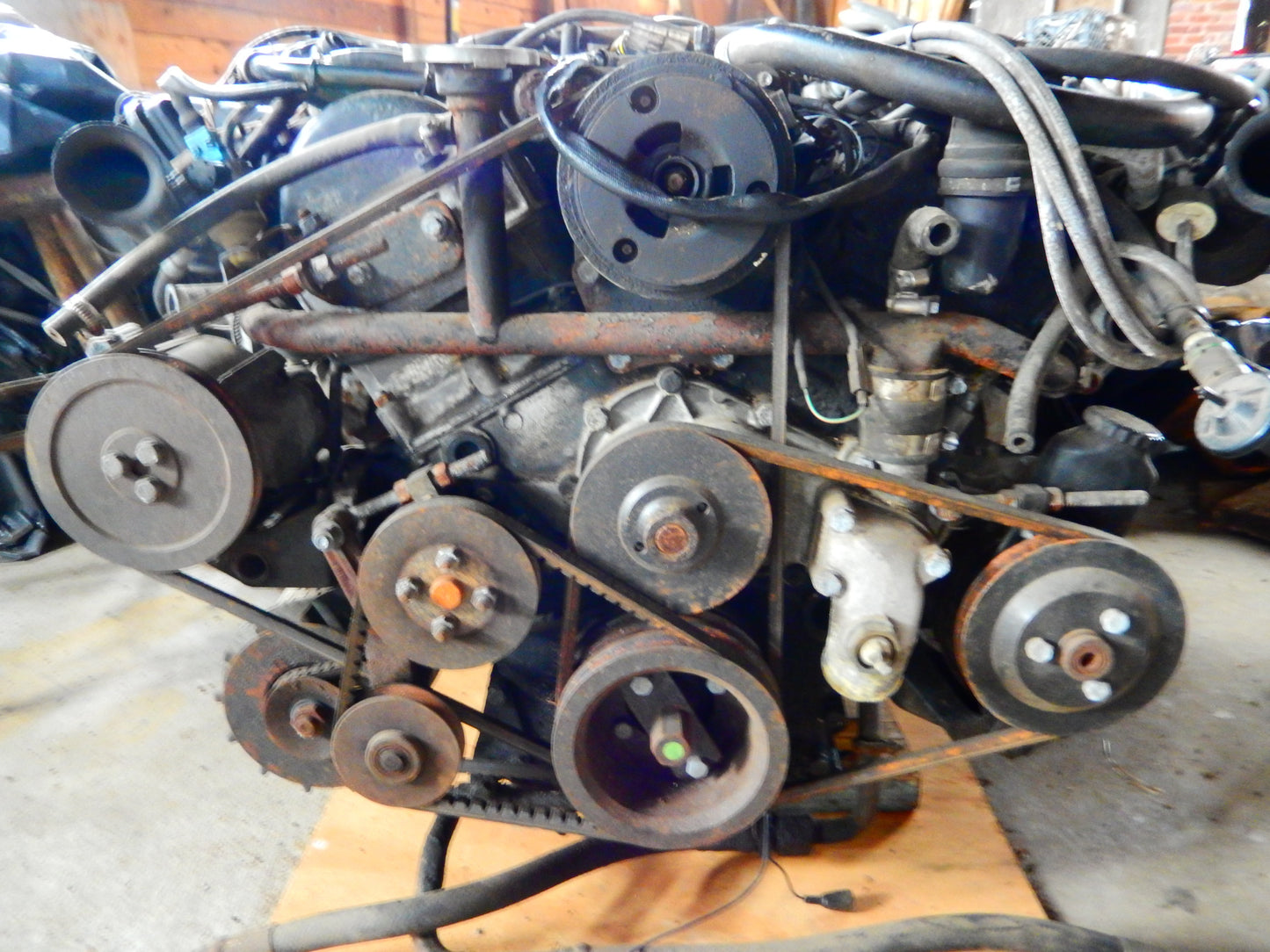 Jaguar XJS V-12 Engine