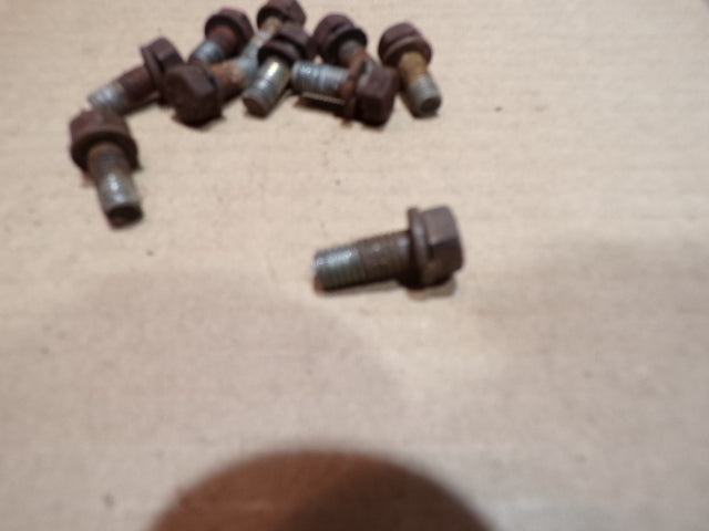 Datsun 240Z Series One Original Door Hinge Bolt Set