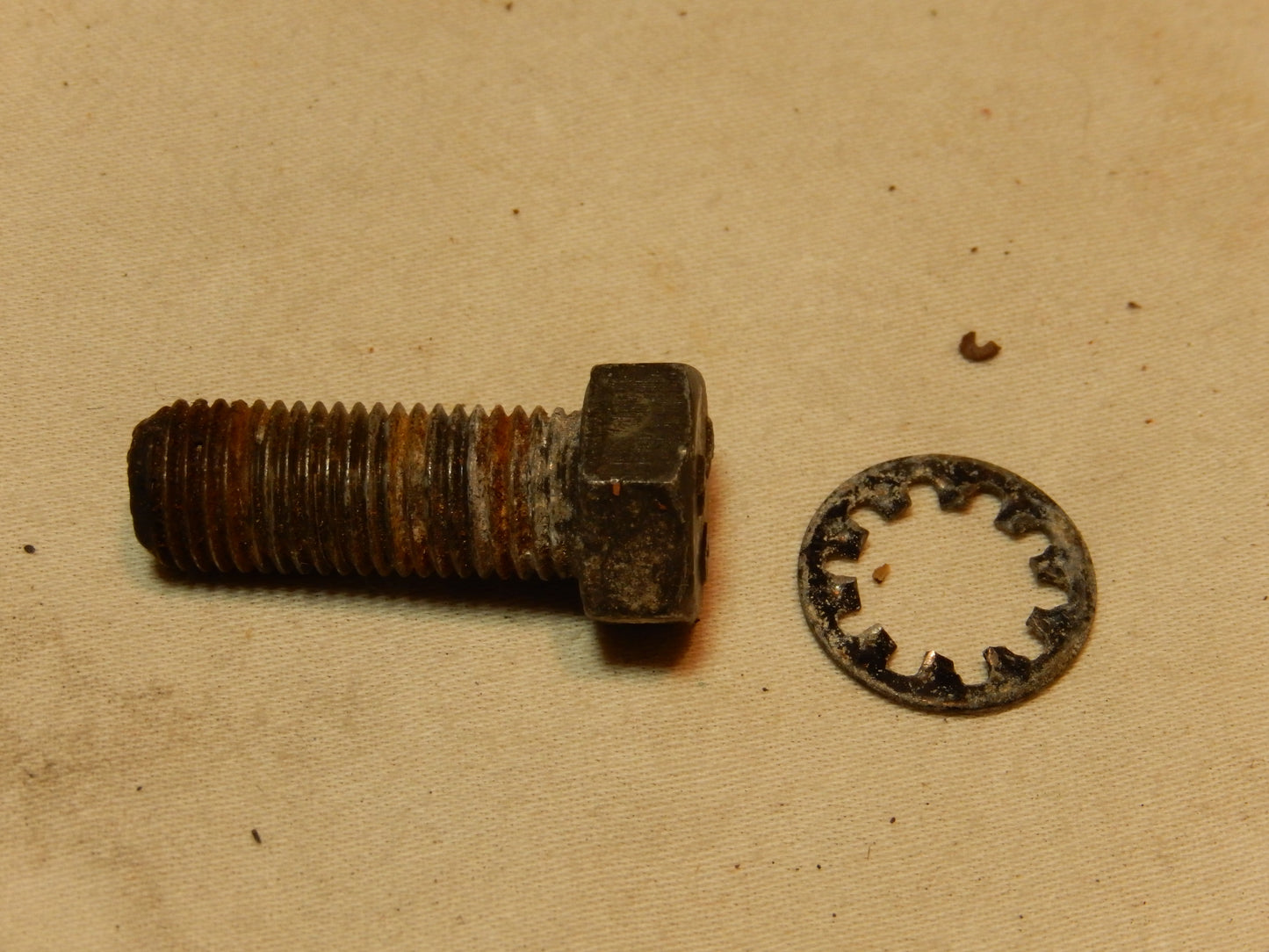 Datsun 240Z Seat Belt Anchor Bolt and Washer