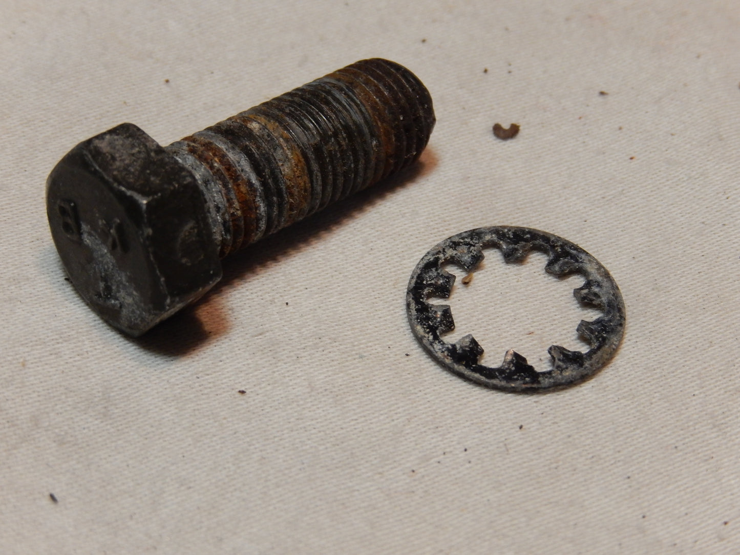 Datsun 240Z Seat Belt Anchor Bolt and Washer