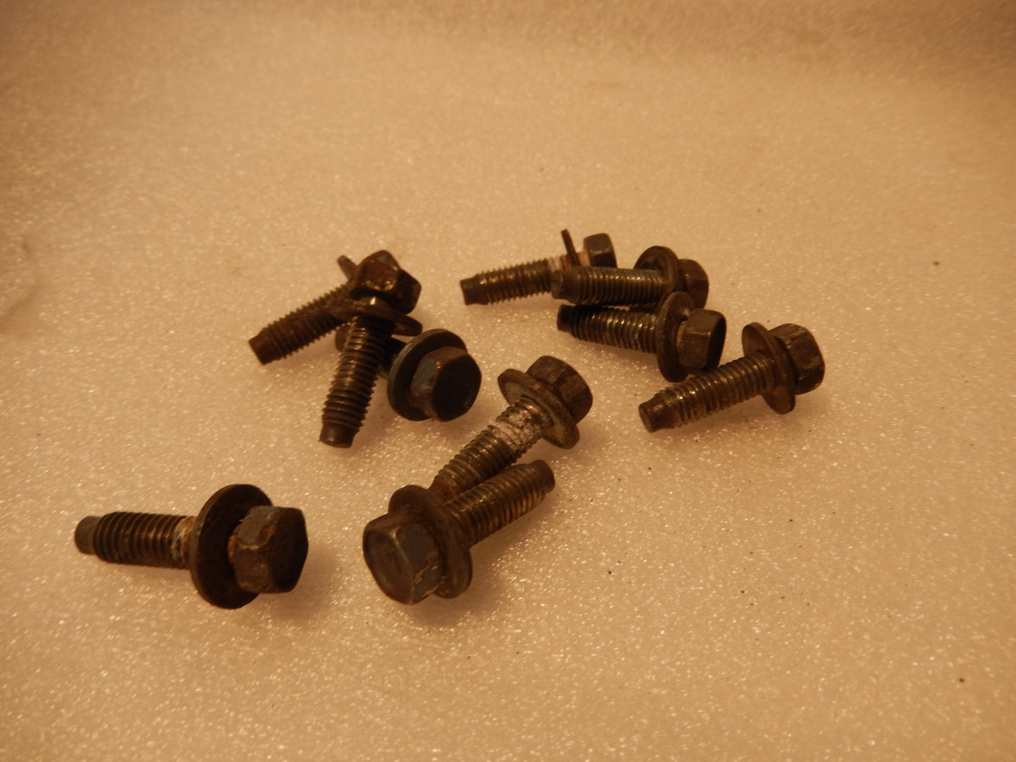 Datsun 280ZX Set of 10 Door Hinge Bolts