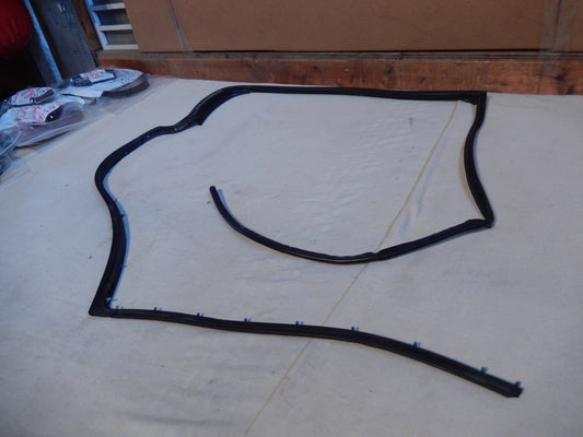 Maserati Quattroporte M-139  04 - 2014 Rear Passenger Door Outer Seal