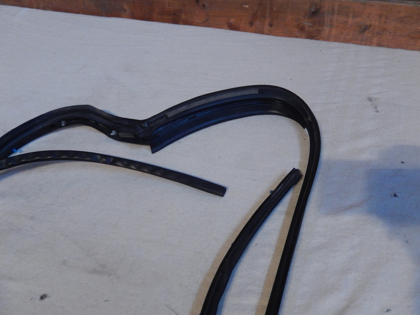 Maserati Quattroporte M-139  04 - 2014 Rear Passenger Door Outer Seal