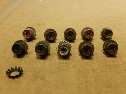 Datsun 240Z Set of 10 Door Hinge Bolts