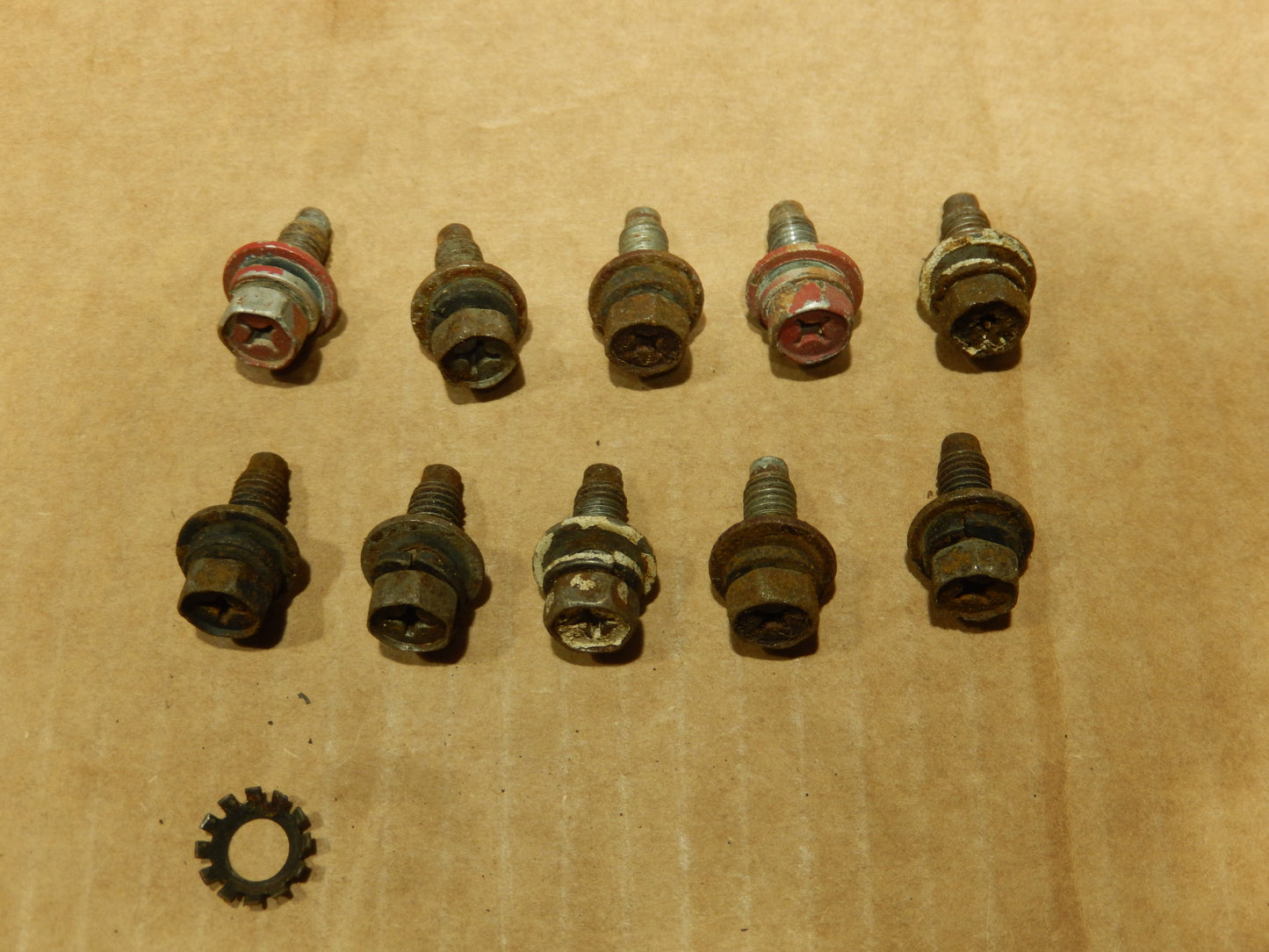 Datsun 240Z Set of 10 Door Hinge Bolts