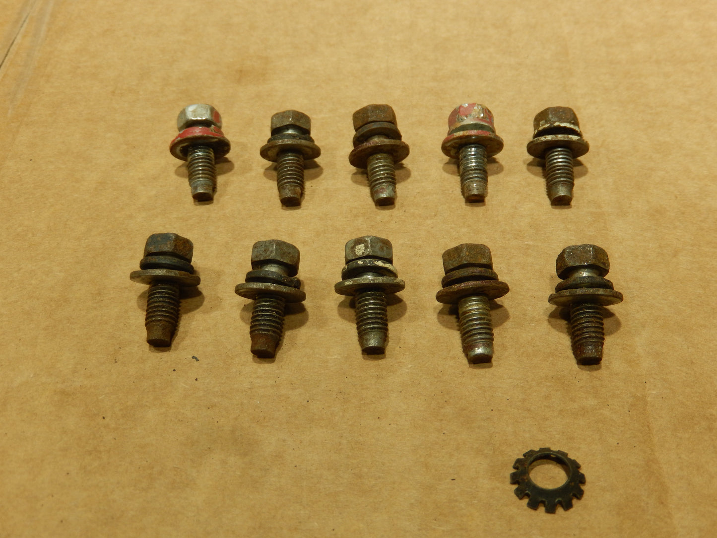 Datsun 240Z Set of 10 Door Hinge Bolts