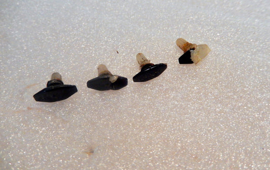 Datsun 280ZX Weather Seal Clips
