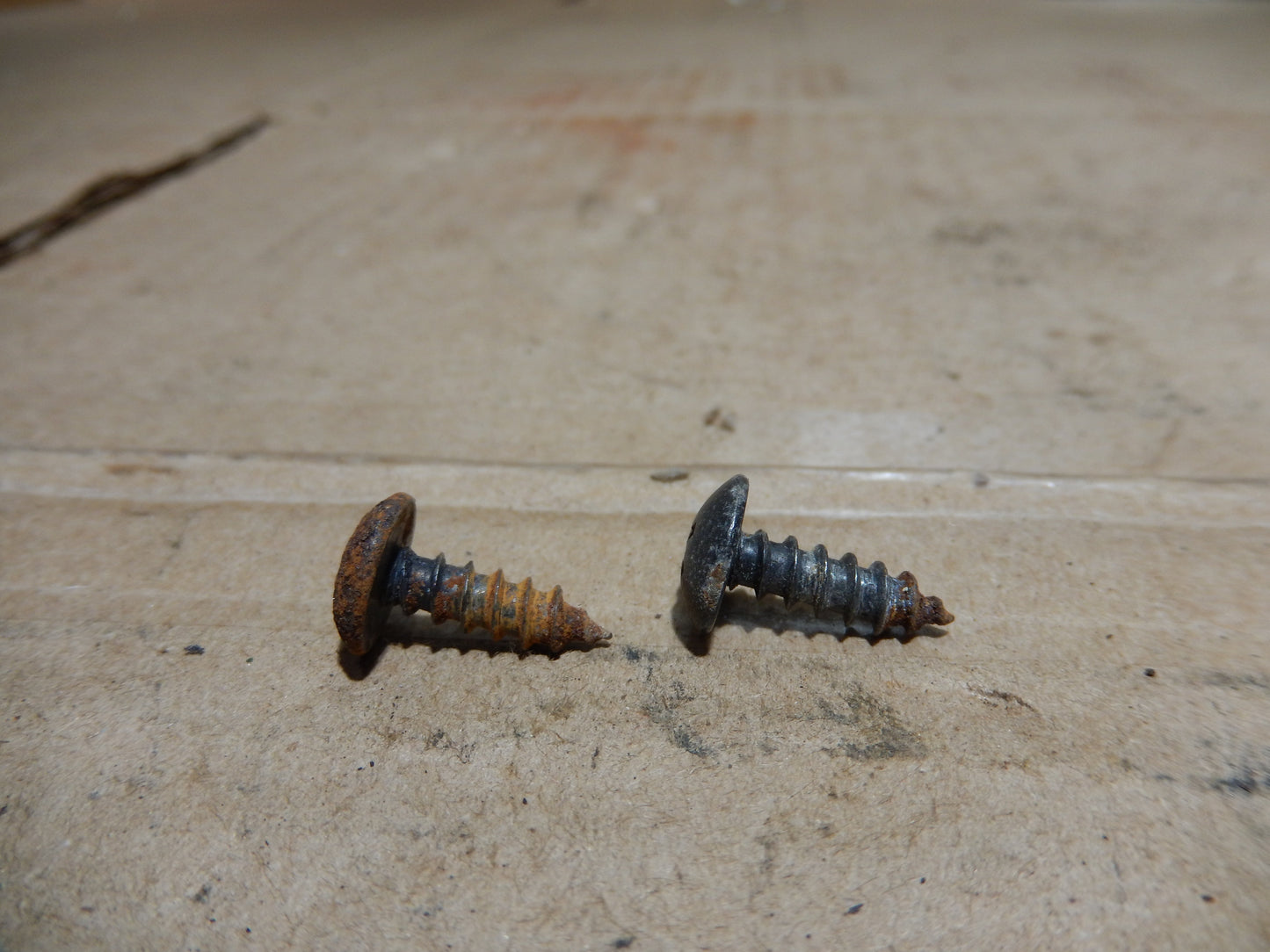 Datsun 240Z License Plate Screw