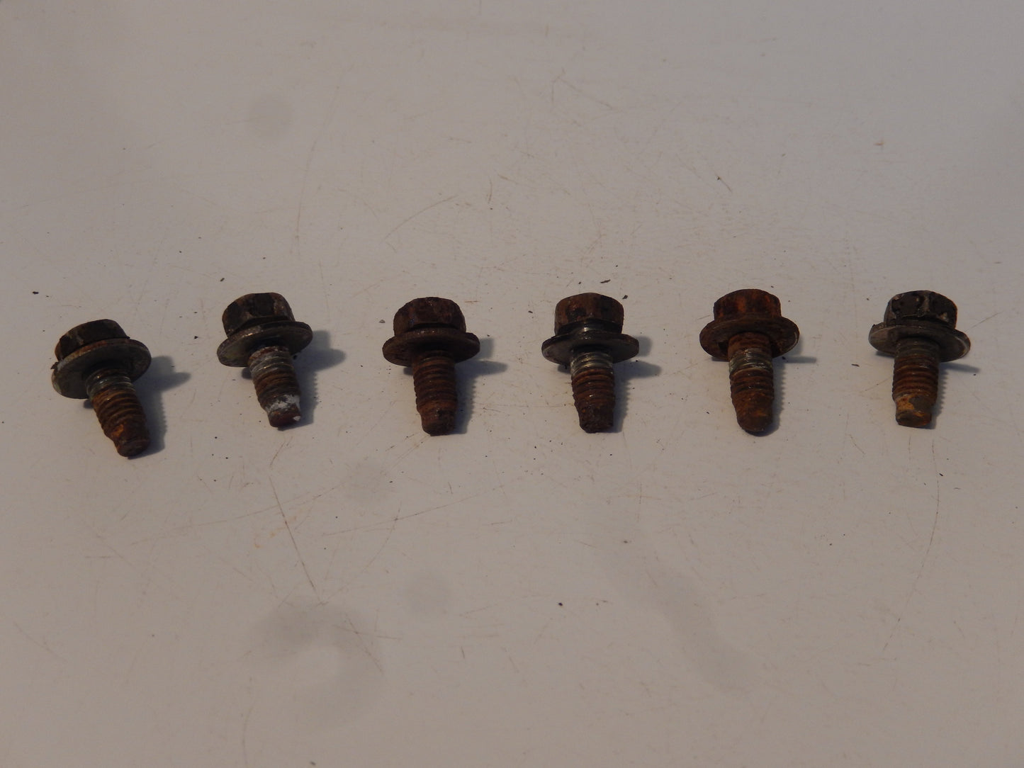 Datsun 280ZX Hood Hinge Bolts