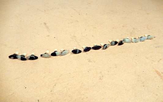 Datsun 280ZX OEM Weather Seal Pins