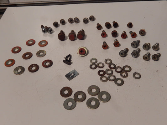 Datsun 240Z Door Frame Fasteners Set