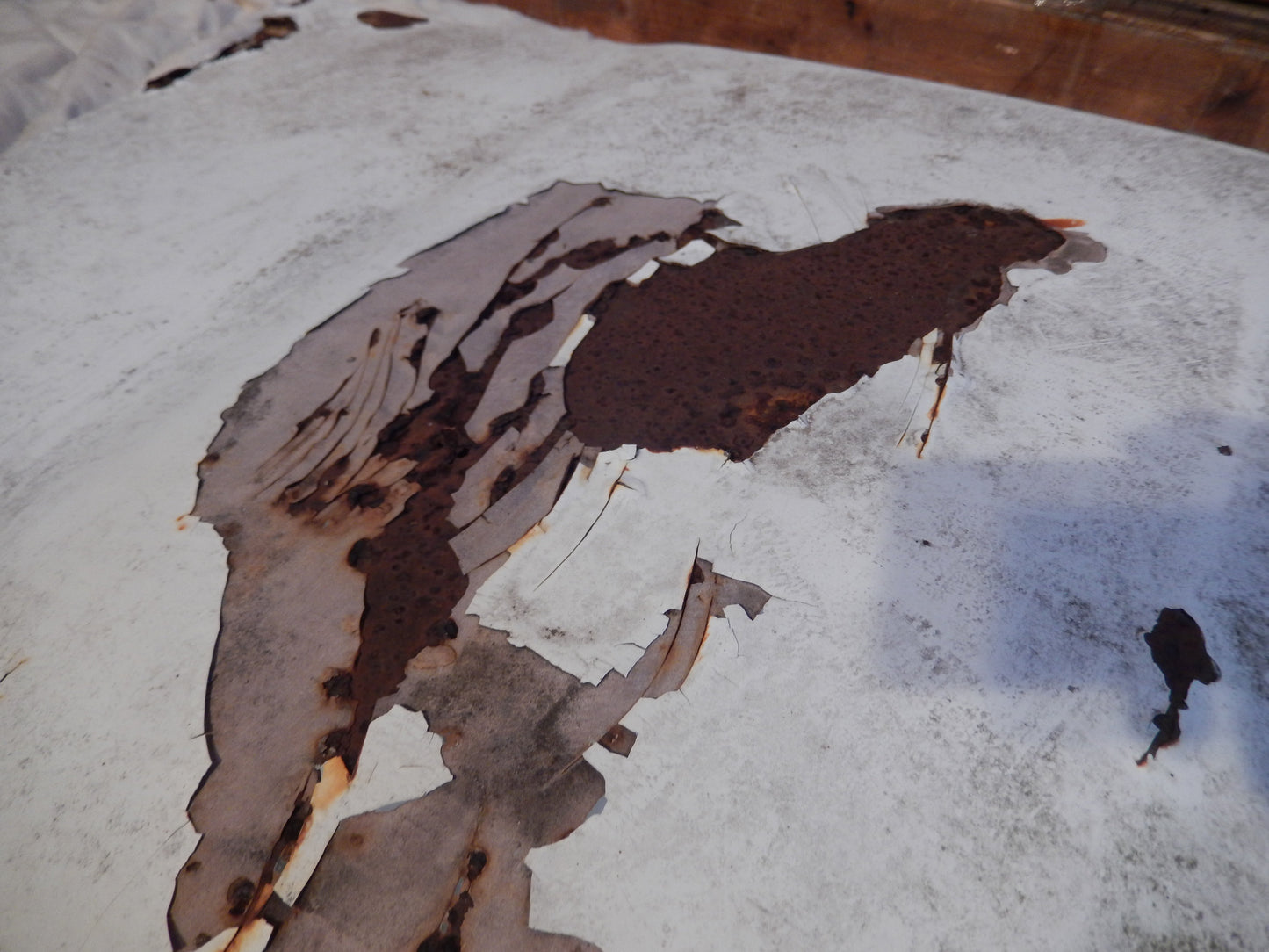 Datsun 240Z OEM Hood /  Bonnet