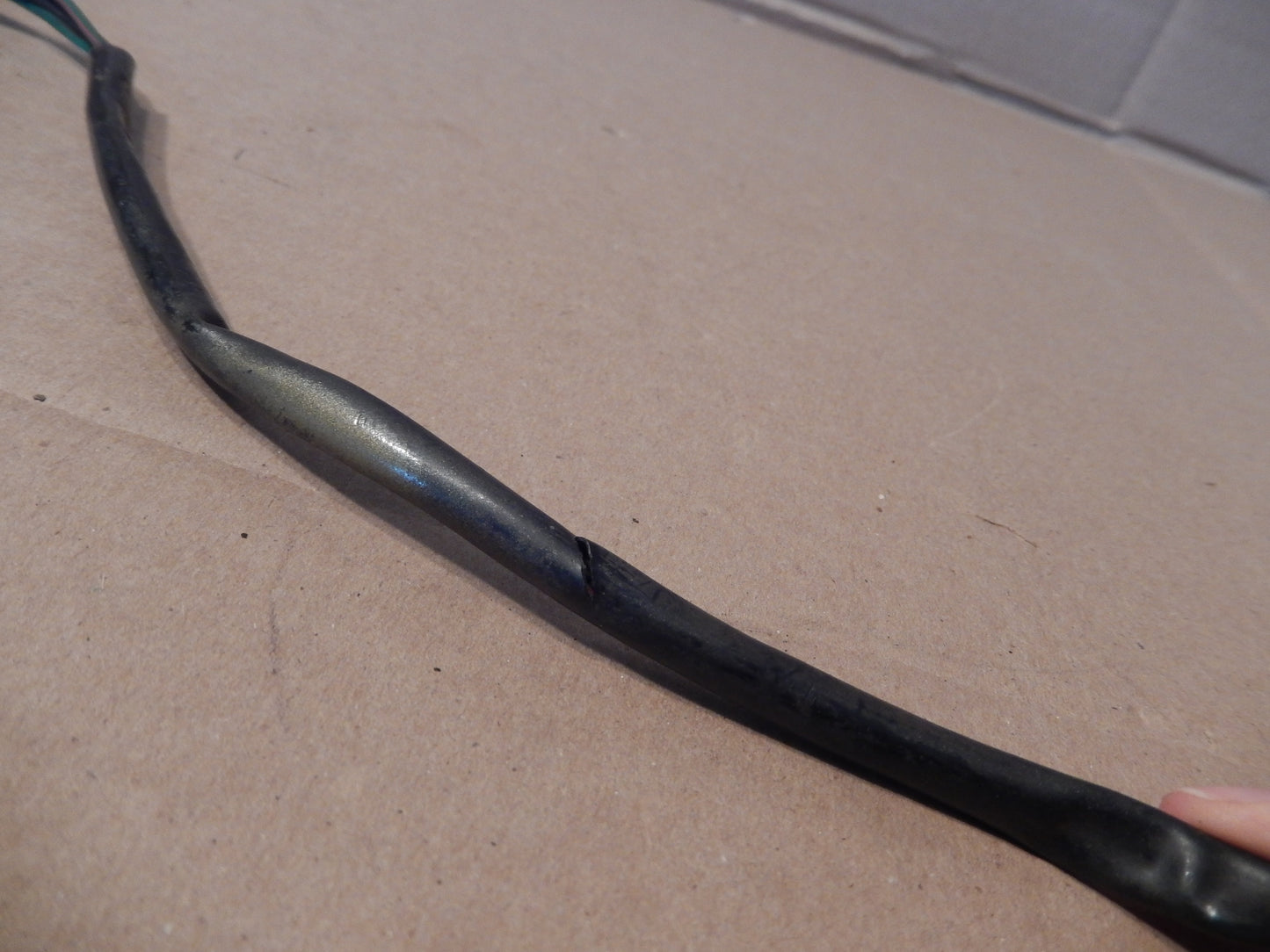 Datsun 240Z-260Z Front Passenger Turn Signal Assembly