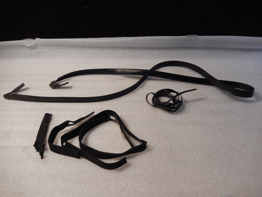 Maserati Quattroporte Exterior Hood / Windshield Seals