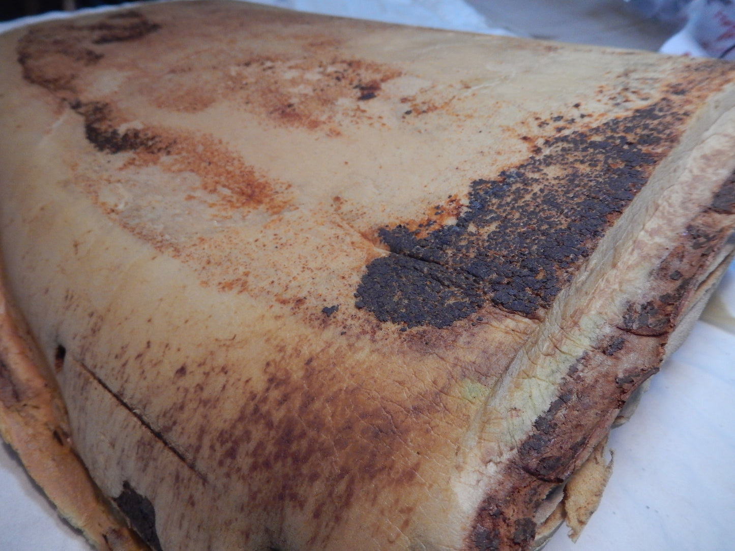 Datsun 240Z Primary Seat Back Front Lower Padding Foam