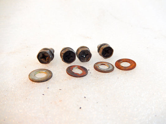 Datsun 240Z Set of 4 Dust Cover Bolts