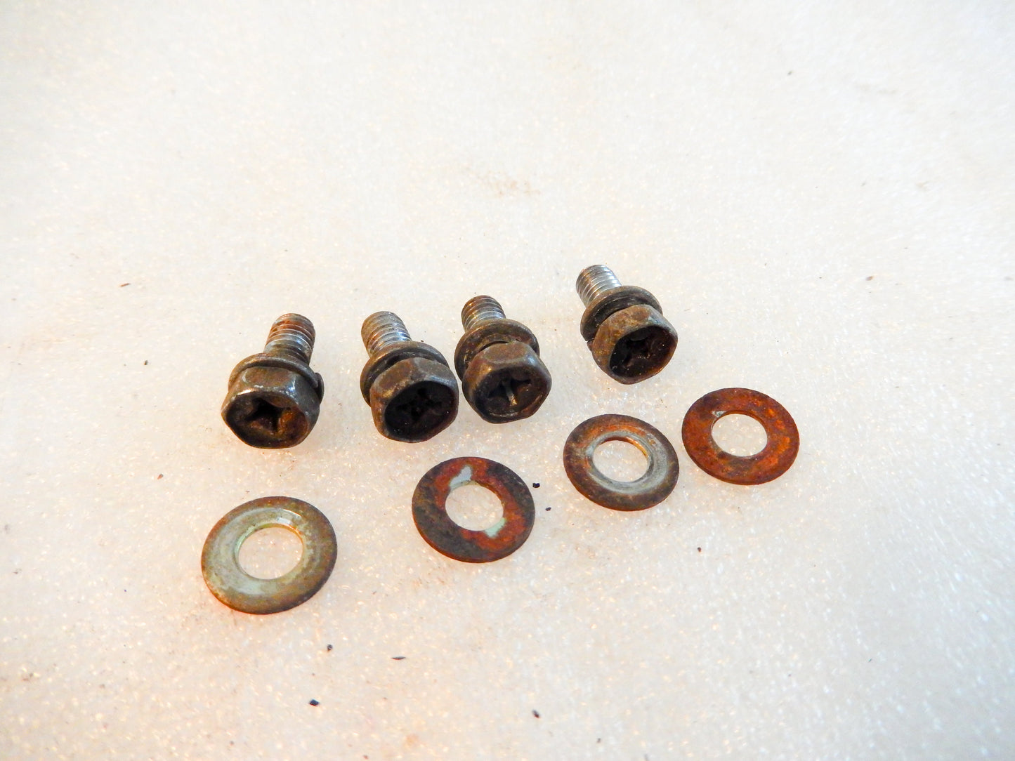 Datsun 240Z Set of 4 Dust Cover Bolts