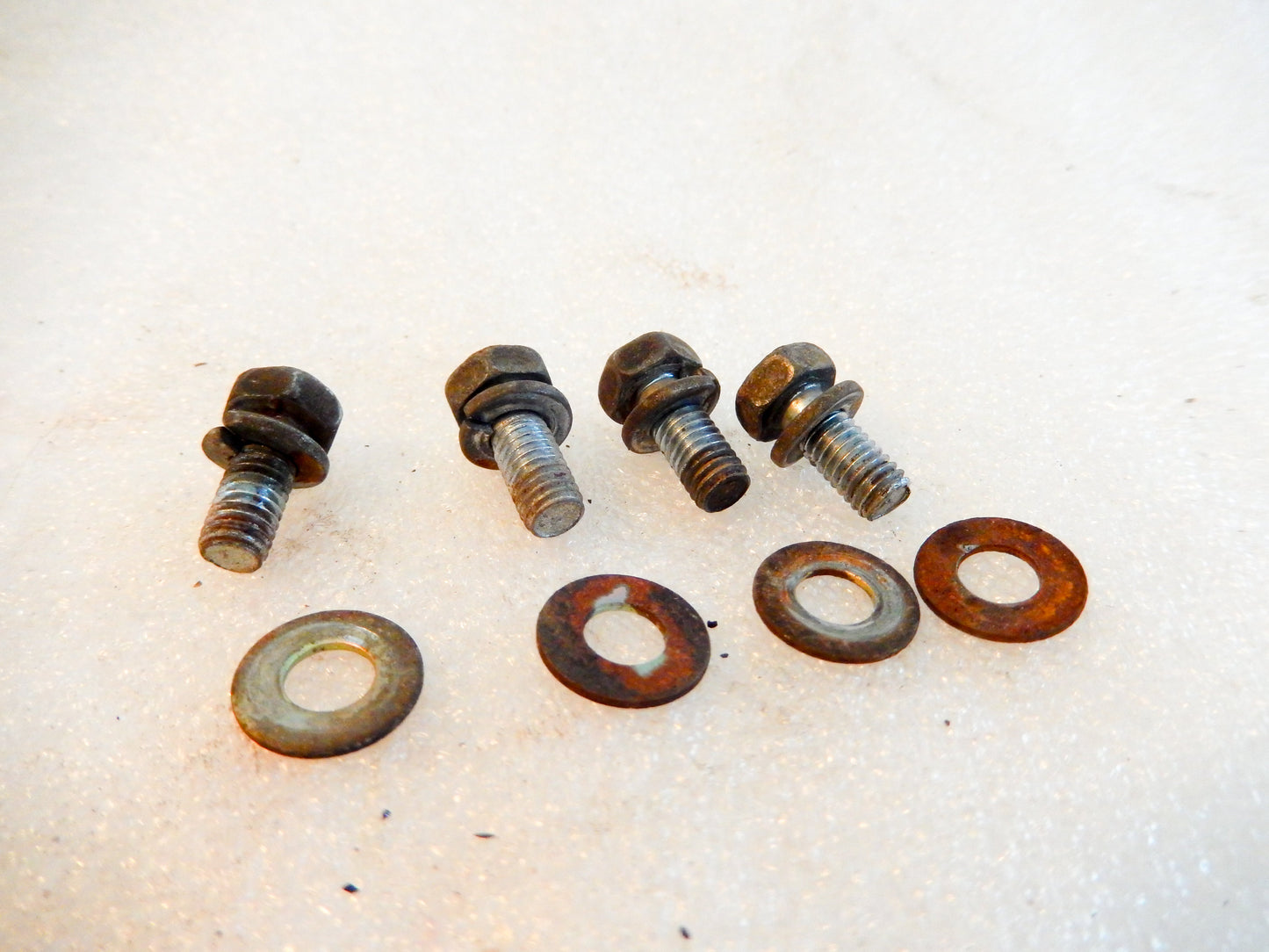 Datsun 240Z Set of 4 Dust Cover Bolts